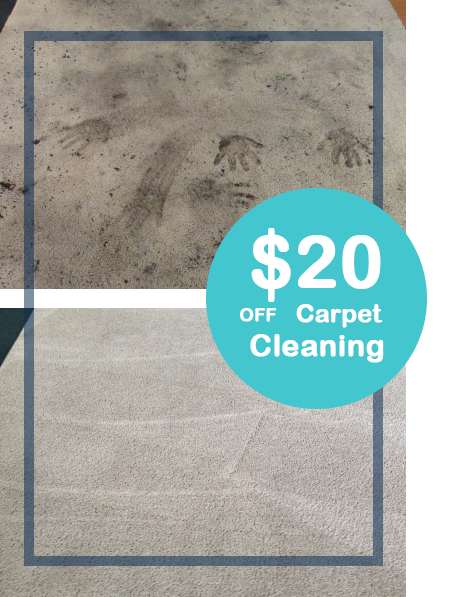 carpet cleaners